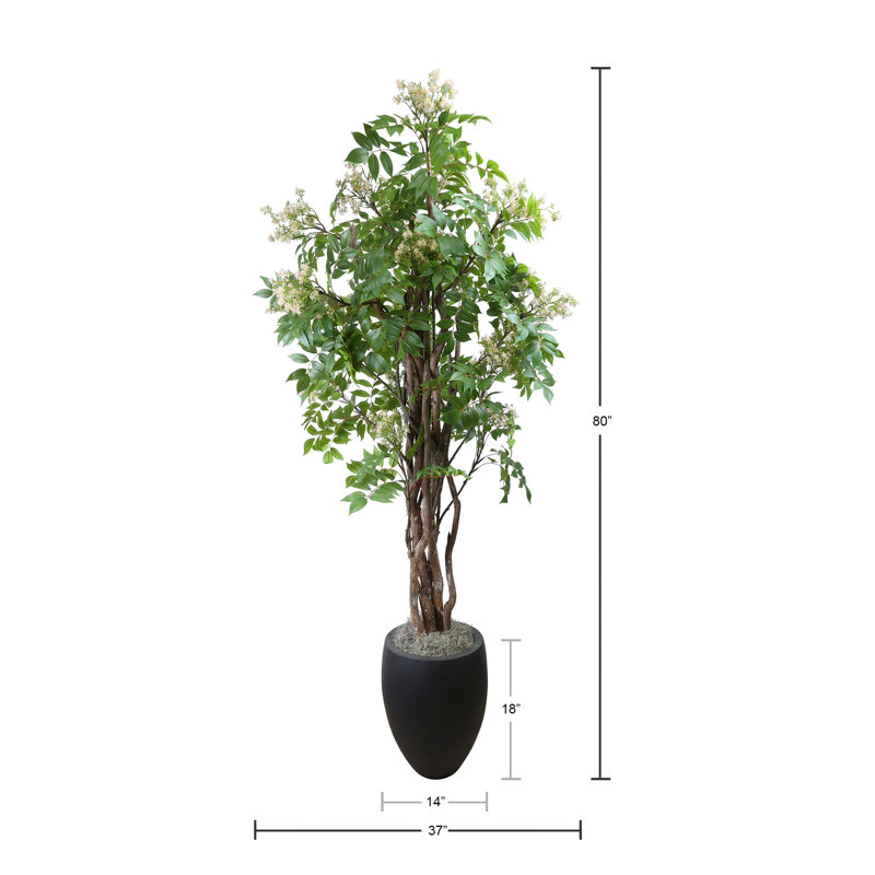 Bloom Lacquer Tree in Fiberstone Pot
