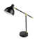 Annice Adjustable Metal USB Desk Lamp