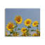 Art de la giclée sur le champ de tournesol par Lil 'Rue-368415848-368415862