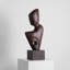 Ornements abstraits de sculpture sur bois