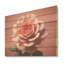 Cactus rose Resilience I - Art mural en bois de cactus sur bois de pin naturel-989199424