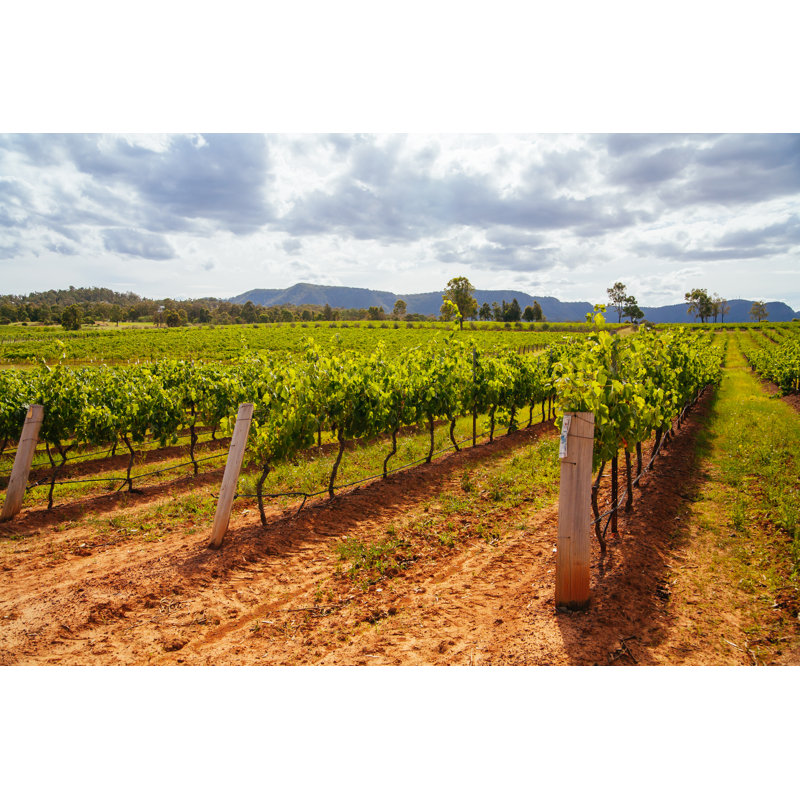 Halbert Hunter Valley Vineyard in Australia 1 Piece Wrapped Canvas Wall Art, 20cm H x 30cm W x 3.8cm D