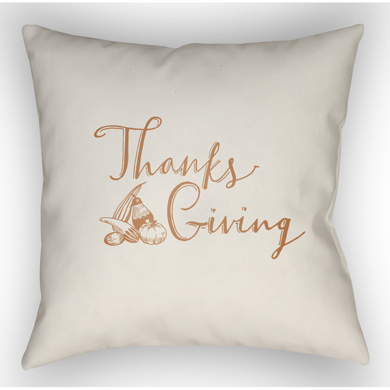 Thanksgiving Indoor/Outdoor Throw Pillow, 18" H x 18" W x 4" D, White/Orange