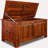 Holzer Blanket Chest