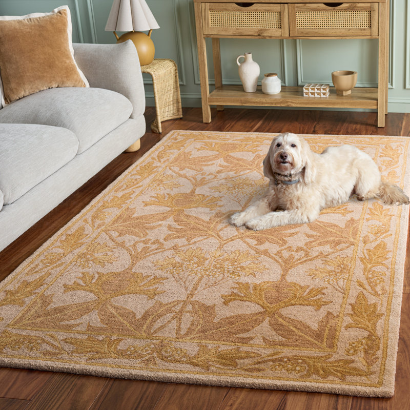 Antiquity Hand-Tufted Beige / Gold Area Rug, Rectangle 5' x 8'