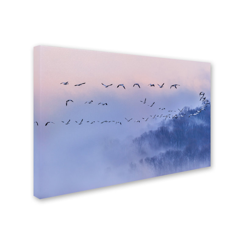 « snow oies », reproduction de photo sur toile tendue, H 12 po x l 19 po
