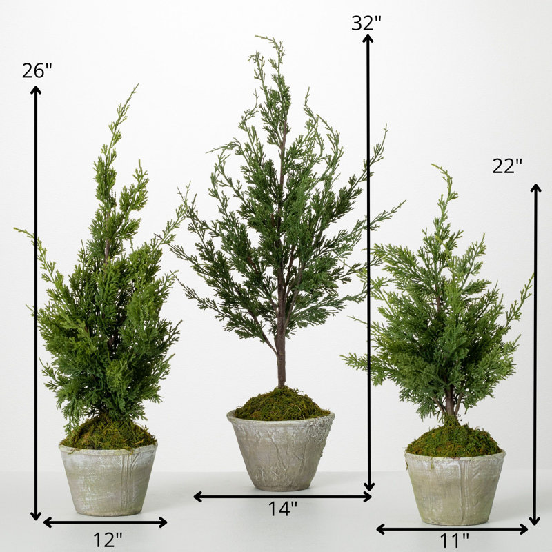 Simms 32'' Faux Cedar Tree in Cement Pot