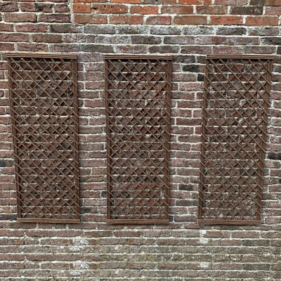 Amerion 120cm H x 45cm W Wood Lattice Panel Trellis