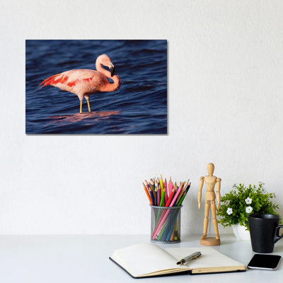 Chilean Flamingo, Pedro Luro, Argentina by Agustin Esmoris - Wrapped Canvas Print