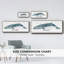 Baleine I - toile encadrée-111255384