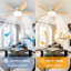 Damekia 42" 5 - Blade Dimmable LED Reversible Ceiling Fan With Light And Remote Control-2023467380