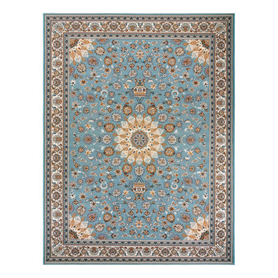 Indoor/Outdoor Traditional Area Rug
