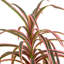 24 po Faux Dracaena plante en pot