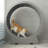 Denora 45'' Large Cat Running Wheel Treadmill-1762470014
