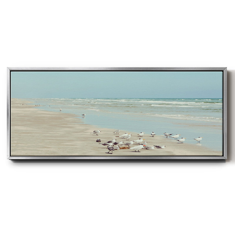 Padre Island Shore Birds- Framed Canvas, 12" H x 30" W