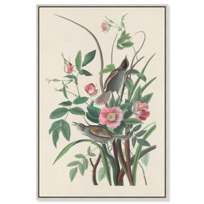 «Seaside Finch», reproduction d'art sur toile par Art Remedy