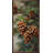 Limber Pinecones-1352240026