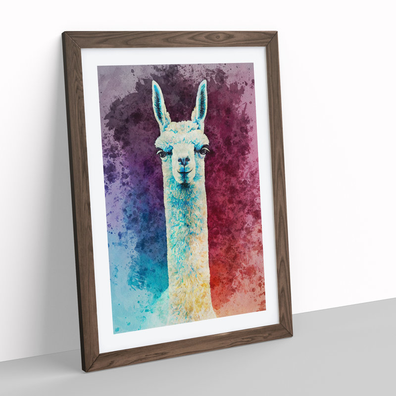 Llama Portrait - Framed Print, 64cm H x 46cm W x 2cm D, Walnut
