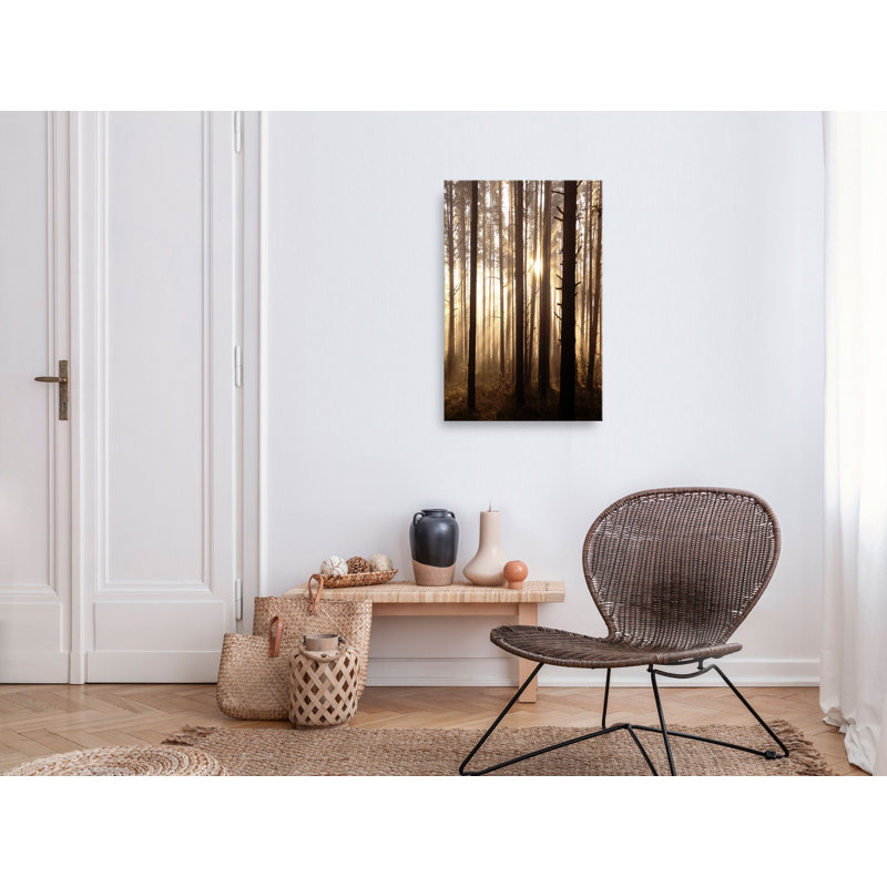 Forest Paths - Wrapped Canvas Print, 60cm H x 40cm W