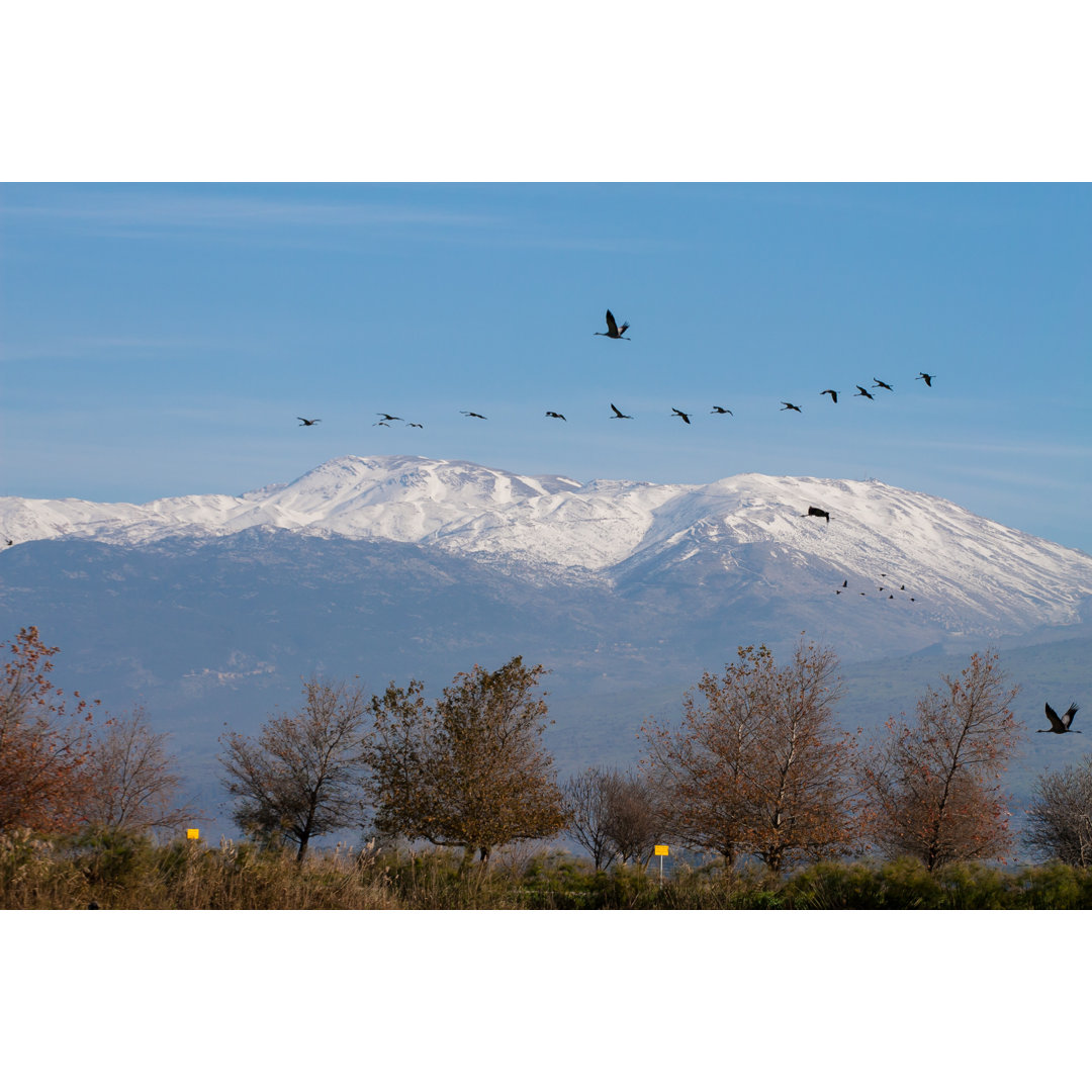 Berg Hermon, Israel von Boryak - Druck