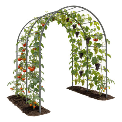Anleolife Heavy Duty Metal Trellis, Double-Arch 6ft-Tall