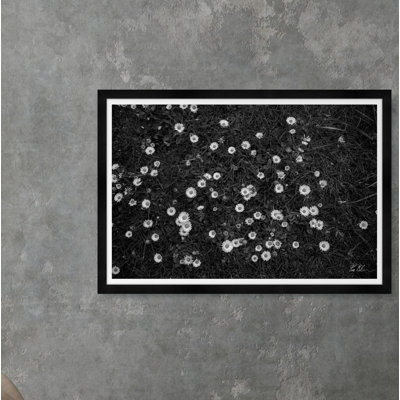 Fields " Fields Of White Flowers " by Tim Klein