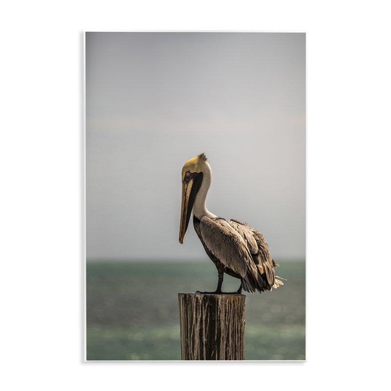 «Nautical Landscape Pelican Wall Art» par Aaron Matheson, H 19 po x l 13 po