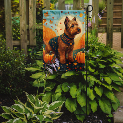 Drapeau de jardin double en polyester H 15,5 po x l 11,25 po