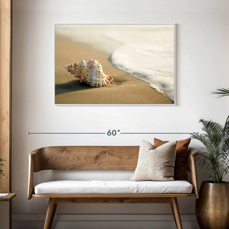 Shell On The Beach, Floating Frame White, 43" X 29"