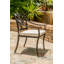 Edge Patio Dining Armchair with Cushion-69945743