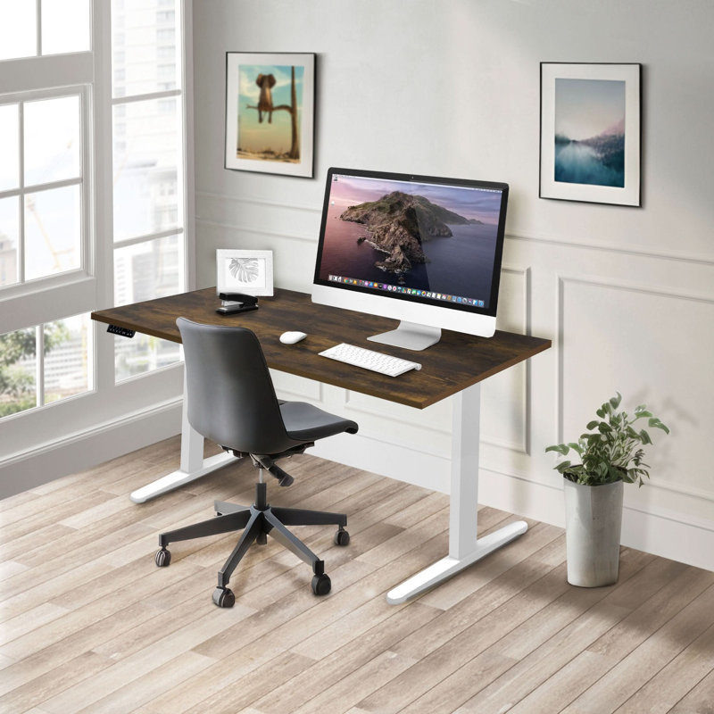 Mount-It Dual Motor Electric Standing Desk, 55" W x 29" D, Adrift/Black
