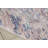 Nyssa Indoor Rug-19342974