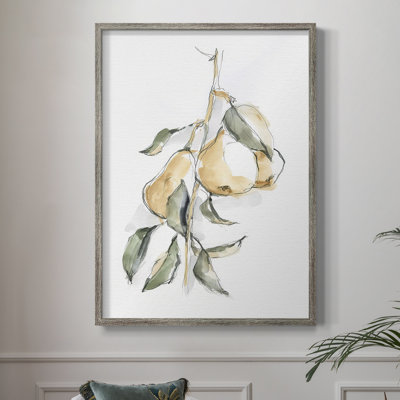 Watercolor Fruit Contour I  Framed Print - Solid Wood