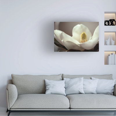  Art mural sur toile Debra Van Swearingen