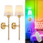 Armed Sconce