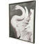 Swan Dance II Canvas