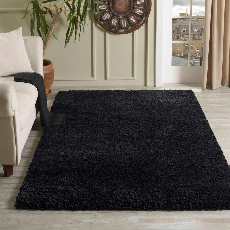 Esterly Shaggy Black Area Rug, Rectangle 120 x 170cm