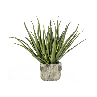 143cm Faux Succulent in Cement Pot