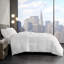 Year Round Warmth 300 Thread Count Cotton Sateen Down Alternative 3M Thinsulate Comforter-1867017842