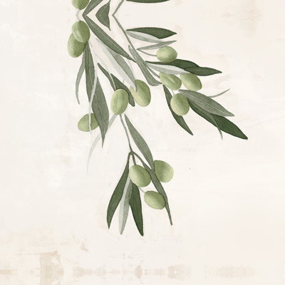 Olive Branch On Light Background With Green Olives - Wrapped Canvas Painting
