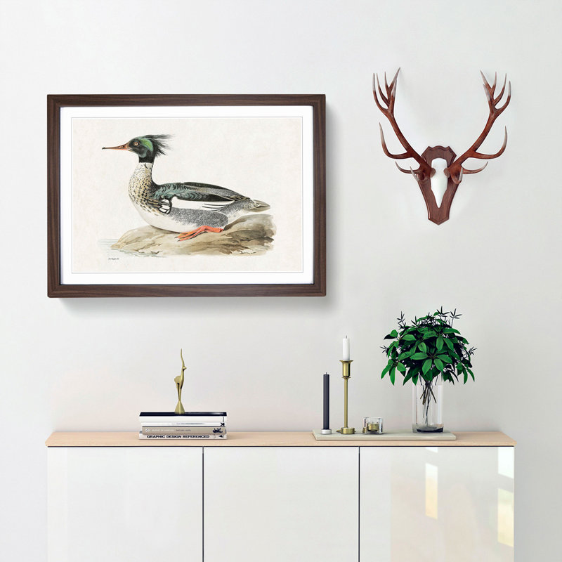 Merganser Diving Duck by Von Wright - Framed Print, 27cm H x 36cm W x 2cm D, Walnut Framed