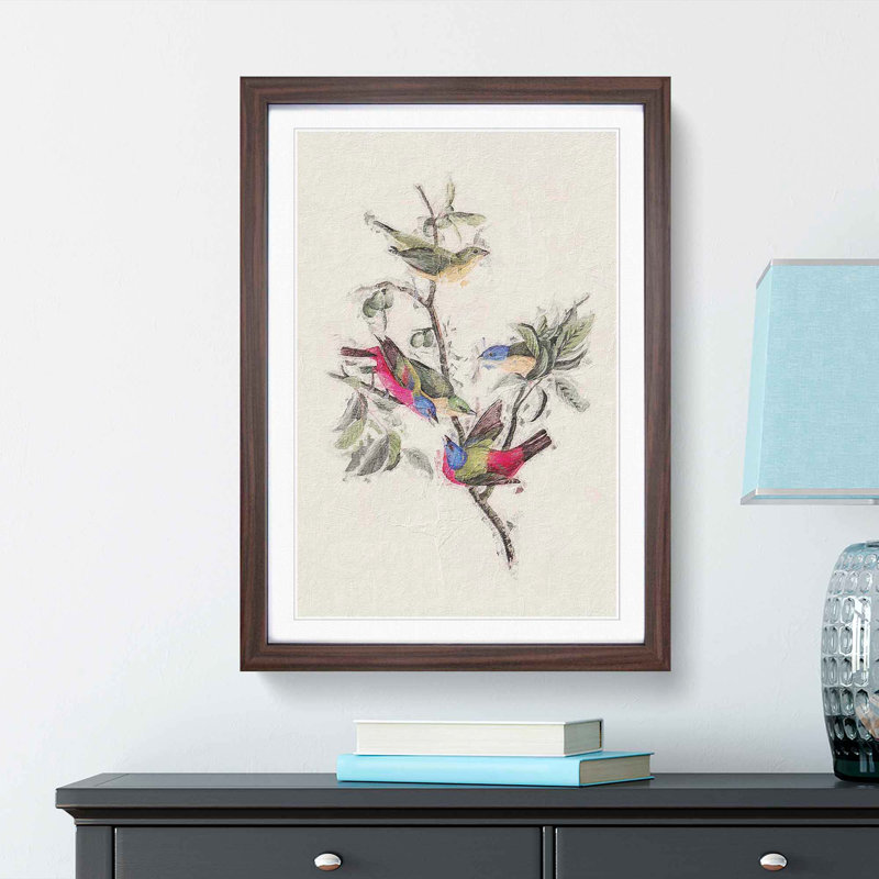 Painted Finches by John Audubon - Picture Frame Painting Print, Walnut Framed, 36cm H x 27cm W x 2cm D
