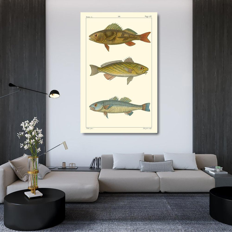 World Menagerie Pretre Gallery Wrapped Canvas Art Titled: Freshwater Fish I