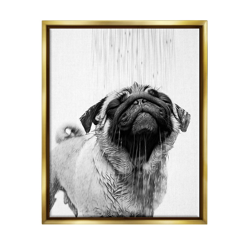 «Pug Bathroom Splash» par Annalisa Latella, Cadre flottant métallique doré, H 31 po x l 25 po x P 1,7 po