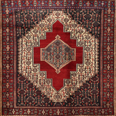 Southwestern Indoor Rug