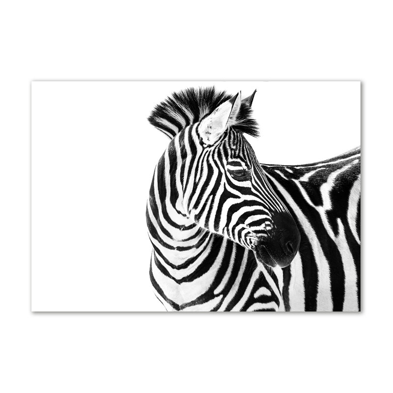 Zebra In The Snow - Wrapped Canvas Print