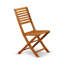 Chaises de salle à manger d'extérieur pliables Cameron - bois d'acacia, ensemble de 2, huile naturelle-1568257706