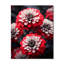 Horloge murale florale rouge Zinnias Zestful II - rouge-1419662497