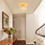 1 - Light Chandelier