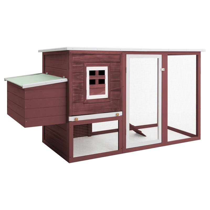 Demitrice petit animal, Brun / blanc
